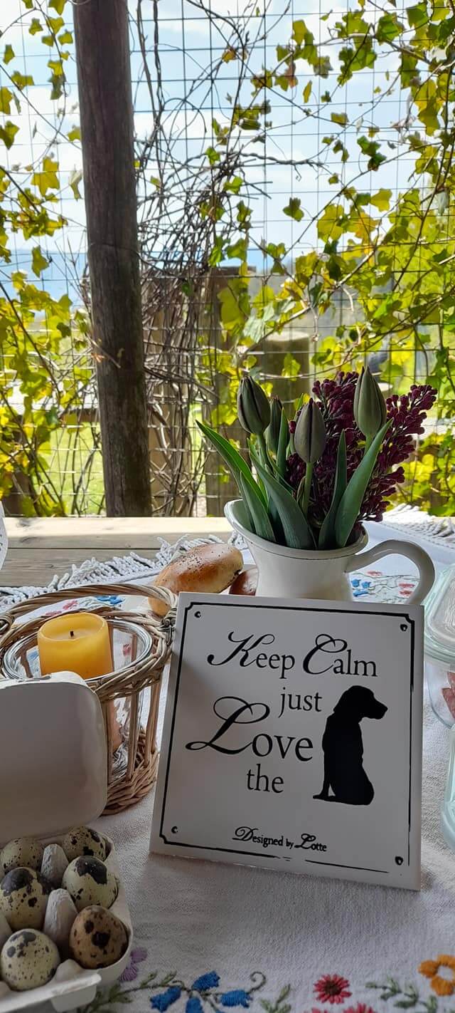 Picknick mit Hund. Schild mit der Aufschrift: Keep Calm and just Love the Dog. auf dem gedeckten Tisch