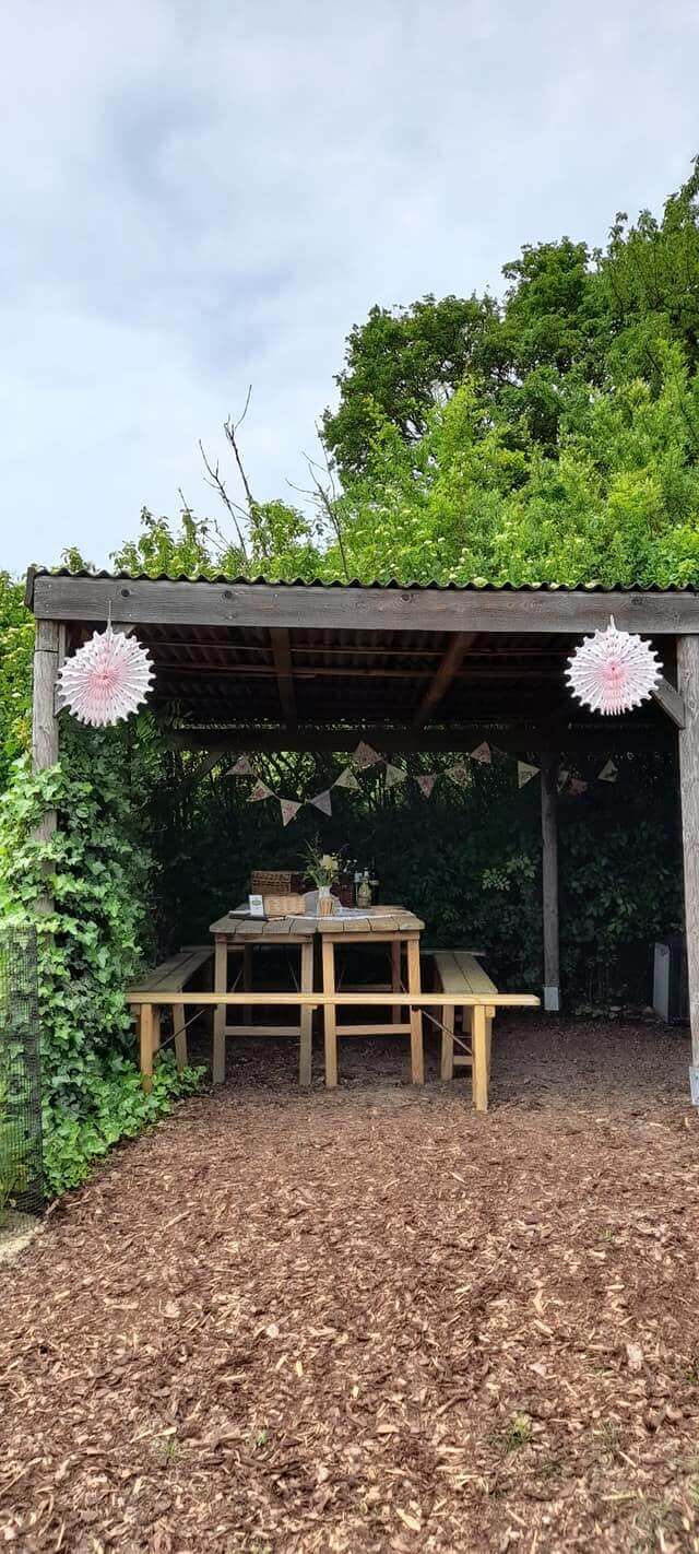 Weinviertler Picknick mit Hund. Überdachter Bereich mit Holztisch und Sitzbänken