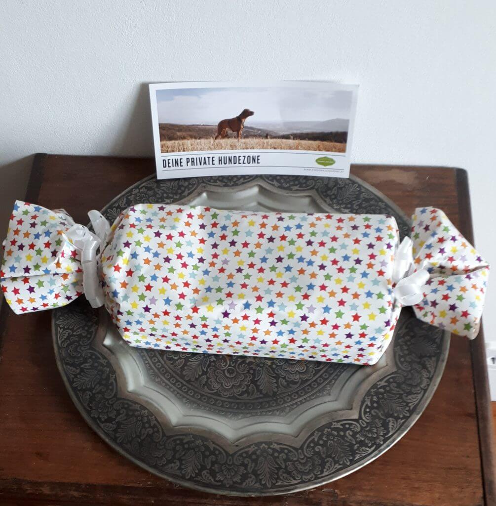 Hunde Geburtstagsparty. Geschenkspaket