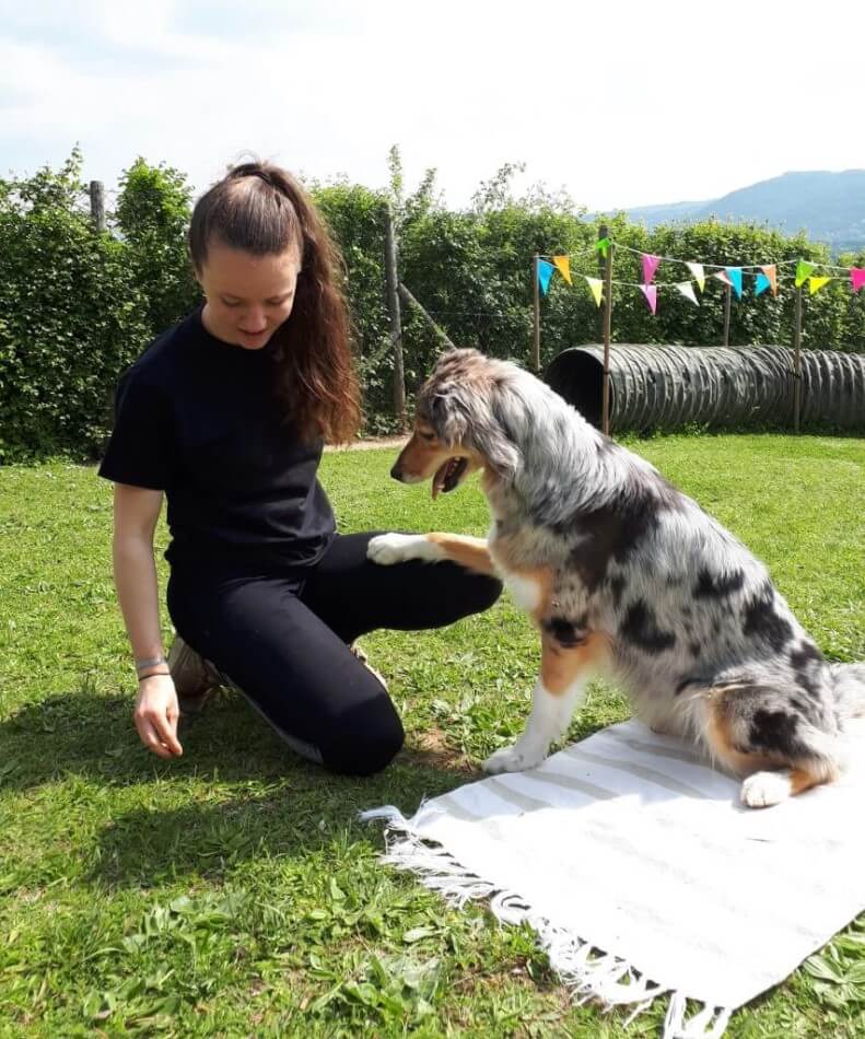 Hunde Geburtstagsparty. Mädchen hockelt vor ihrem Hund. Hund sitzt und hat seine Pfote auf ihrem Knie.