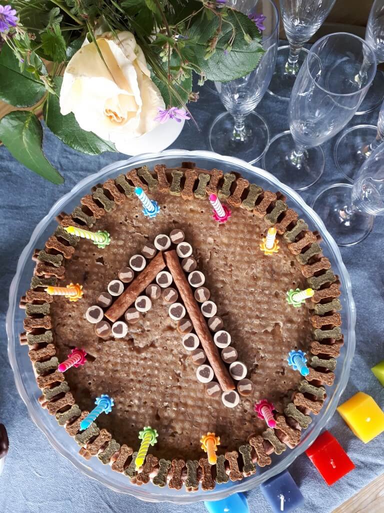 Hunde Geburtstagsparty. Hunde Geburtstagstore