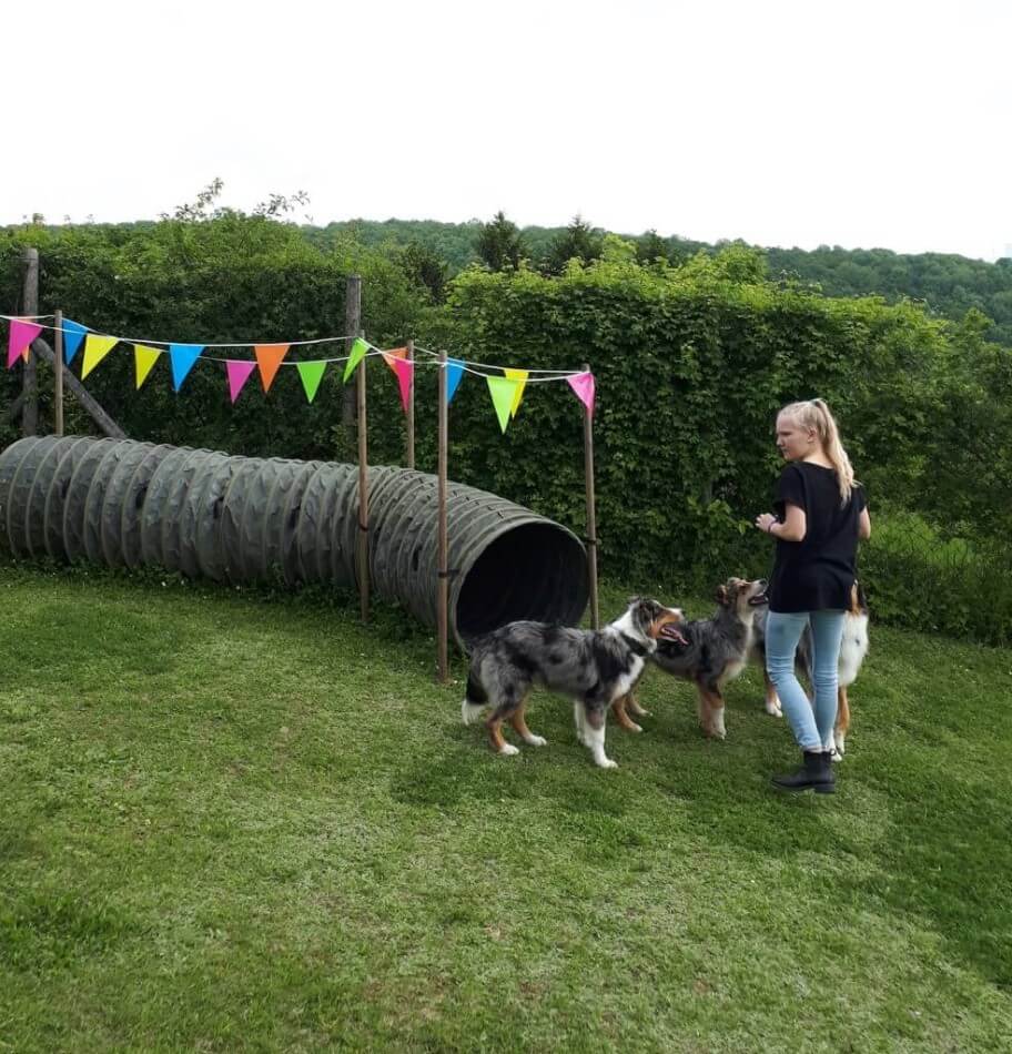 Hunde Geburtstagsparty. Blondes Mädchen mit drei Hunden vor ihr auf dem Trainingsplatz.