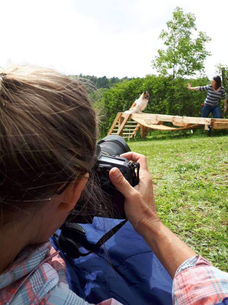 Hundefotoshooting. Fotografin macht Fotos von Hund, der auf einer Holzbrücke sitzt.