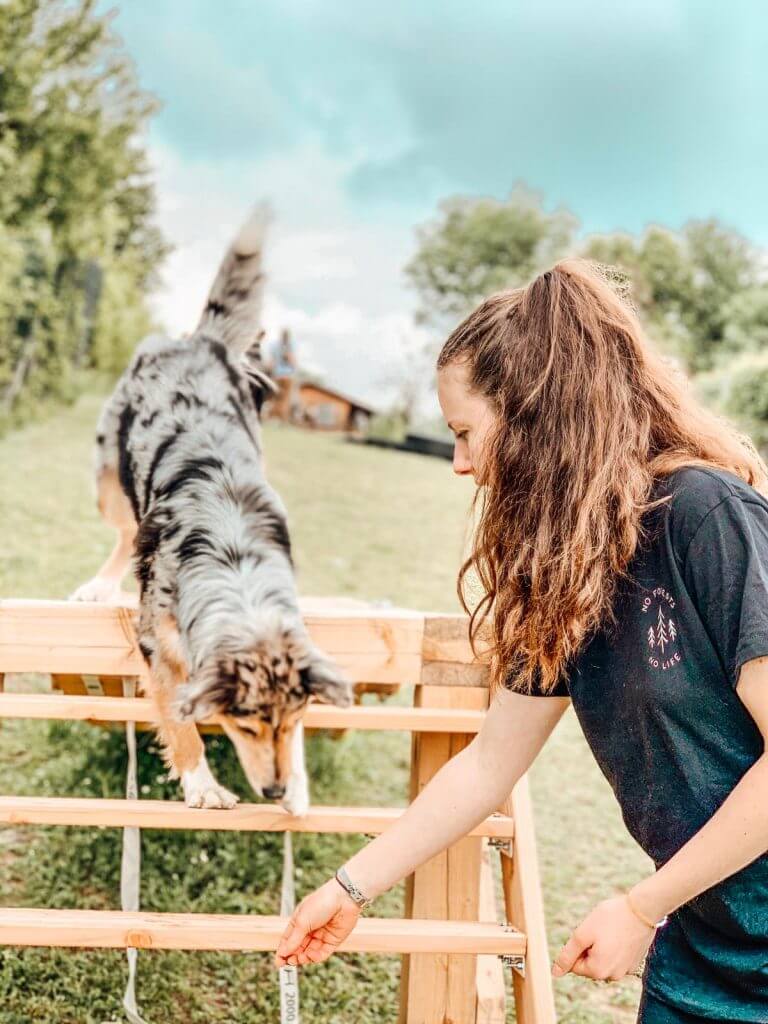 Hunde Geburtstagsparty. Mädchen und ihr Hund üben auf dem Holzsteg.