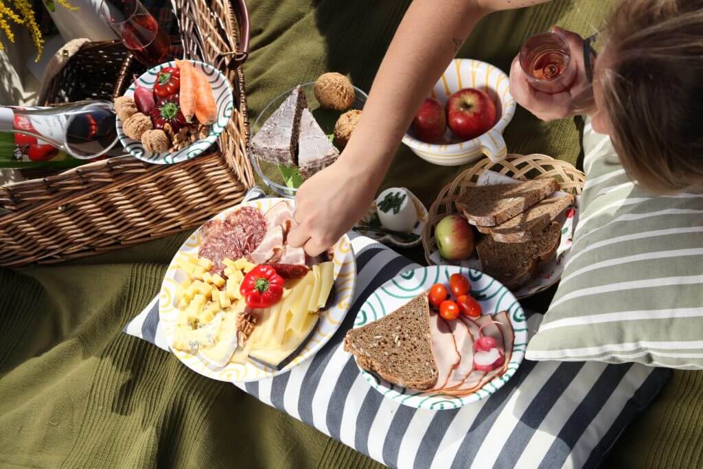 Weinviertler Picknick mit Hund. Picknickdecke mit Pölstern, Picknickkorb und reichlich Bio Essen