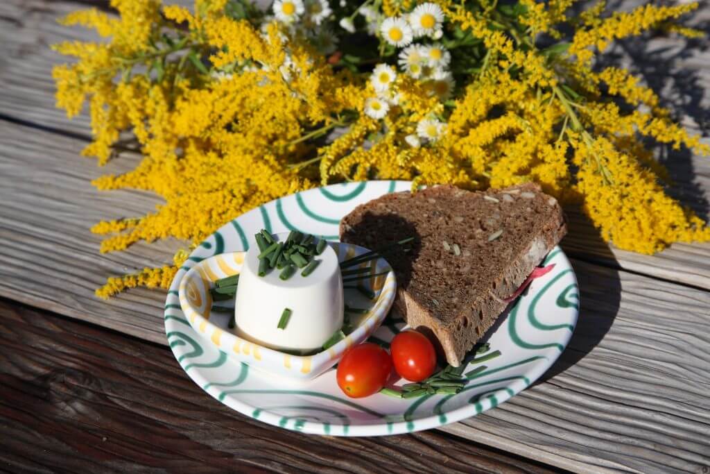 Picknick mit Hund. Ein gefüllter Teller mit Brot, Tomaten und Schnittlauch.