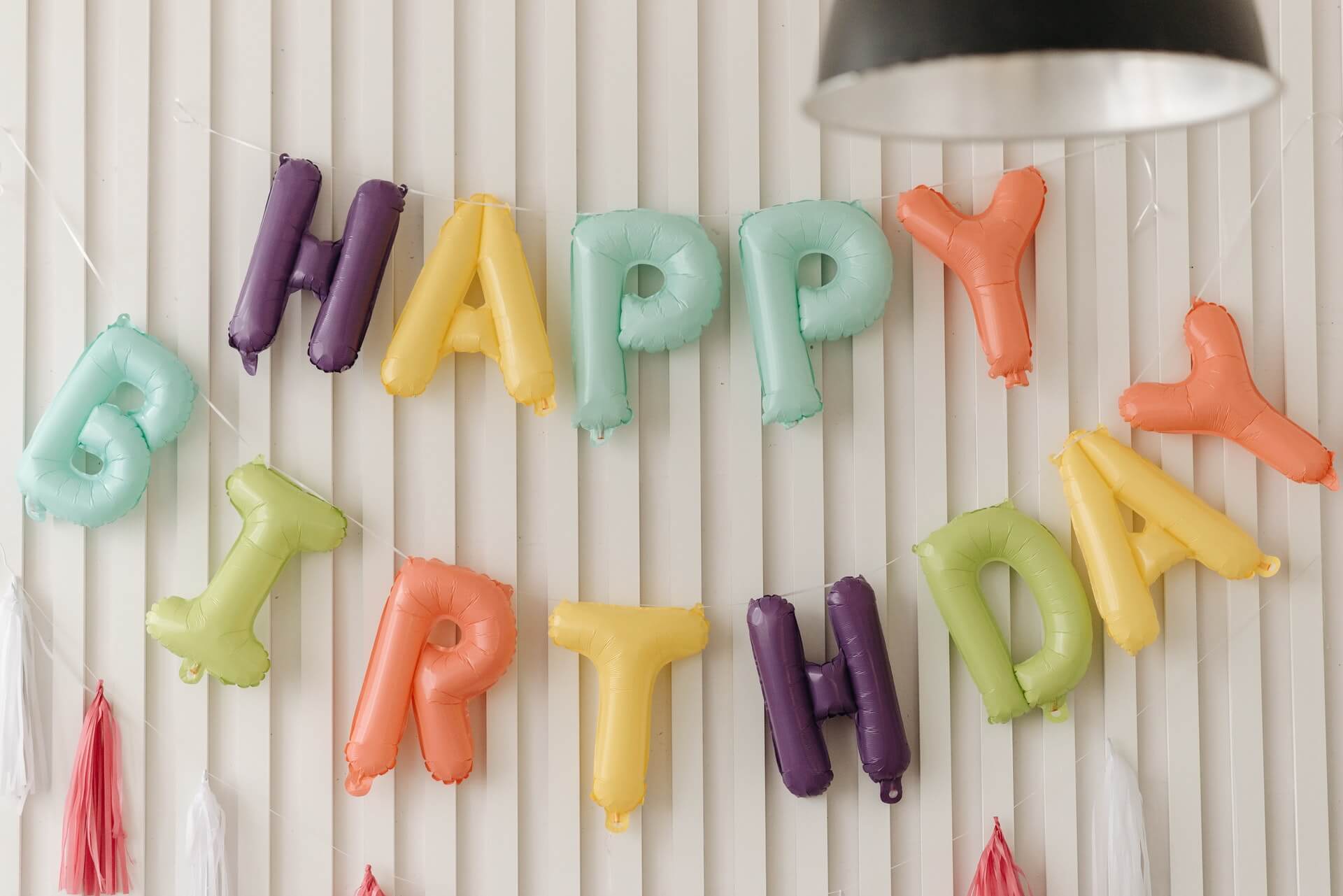 Hunde Geburtstagsparty. Ein Schiftzug an der Wand mit Happy Birthday