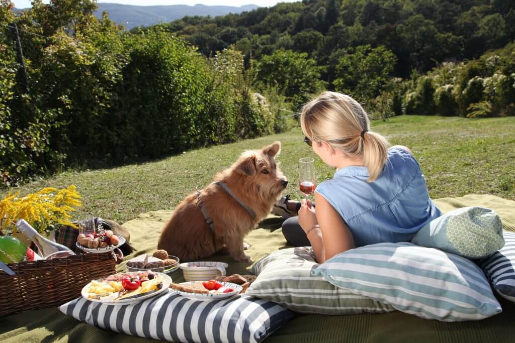 Weinviertler Picknick 100% BIO. Frau mit Hund liegen auf einer Decke in der Wiese und genießen das Picknick.n