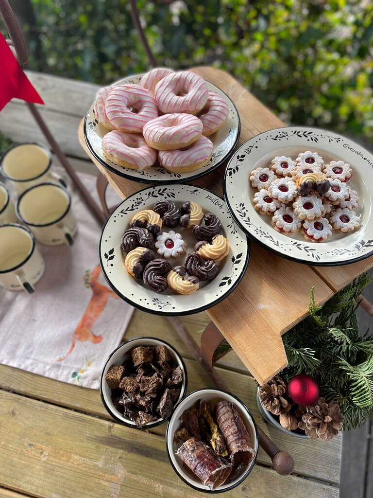 Hundezone mieten im Winter - Winterzauber. Donuts Kekse Hundezone mieten im Winter - Winterzauber. Donuts Kekse