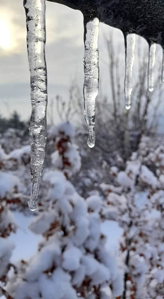 Hundezone mieten im Winter - Winterzauber. Eiszapfen in der Hundezone Hundezone mieten im Winter - Winterzauber. Eiszapfen in der Hundezone