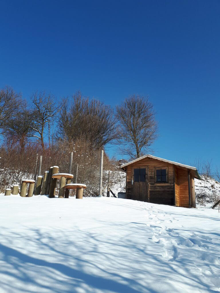 Hundezone mieten im Winter - Winterzauber. Hundezone Weinviertel Hundezone mieten im Winter - Winterzauber. Hundezone Weinviertel