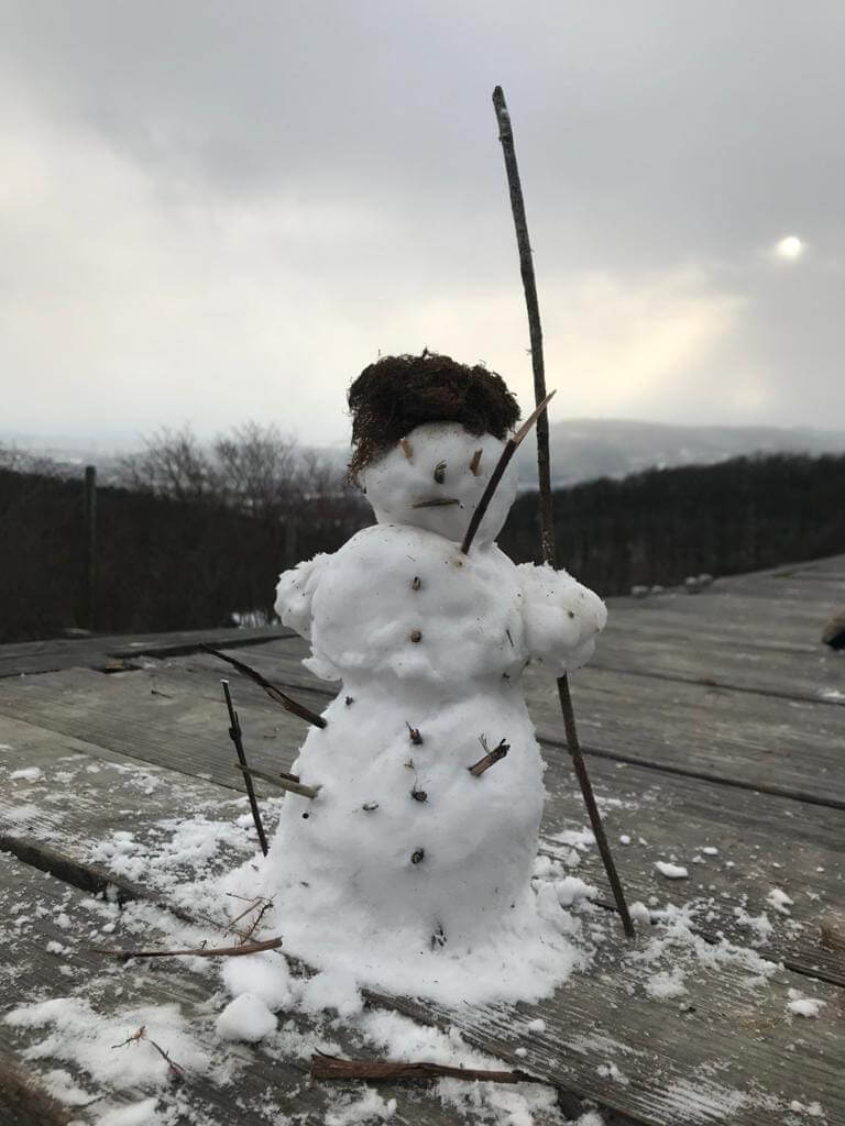 Hundezone mieten im Winter - Winterzauber. Schneemann Hundetrainingsgelände Hundezone mieten im Winter - Winterzauber. Schneemann am Hundetrainingsgelände