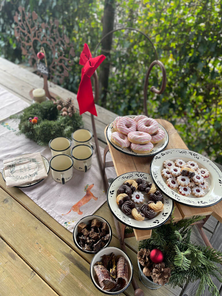 Hundezone mieten im Winter. Winterzauber Hundeauslaufzone Bisamberg Hundezone mieten im Winter. Winterzauber Hundeauslaufzone Bisamberg mit Punsch und Keksen.