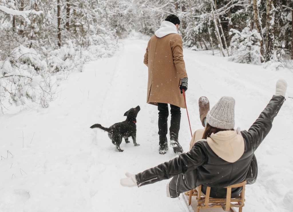 Winterzauber Weinviertel Hundezone. Ein Mann mit Hund zieht eine Frau auf einem Schlitten im Schnee hinter sich her.